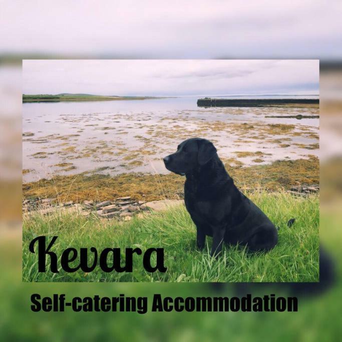 Kevara Self-Catering Finstown Eksteriør billede